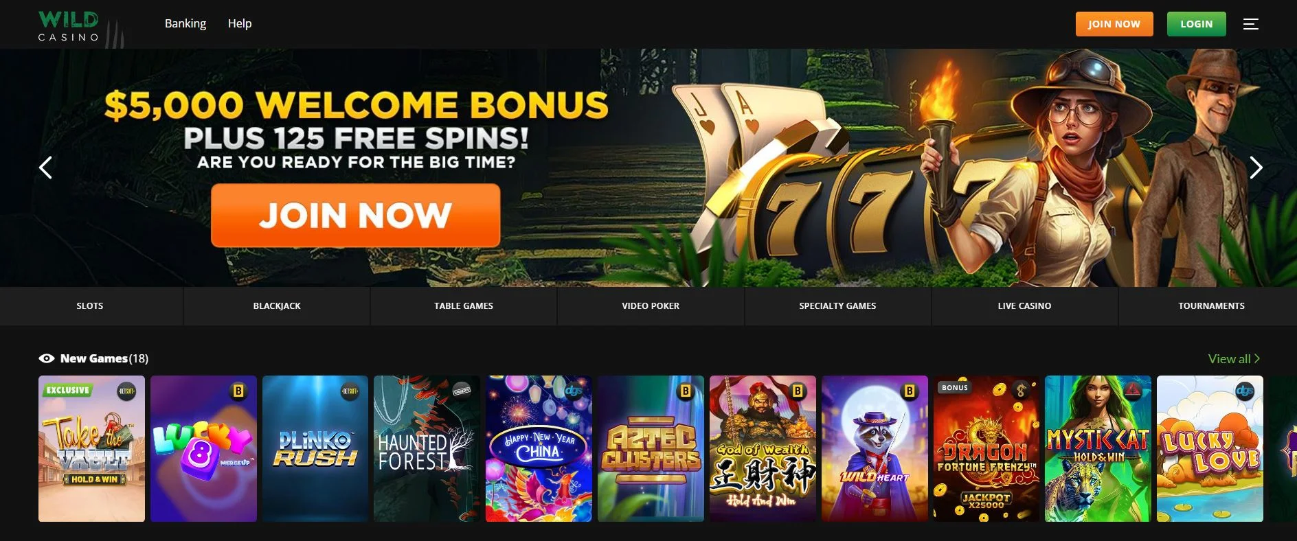 Wild Casino - Screenshot